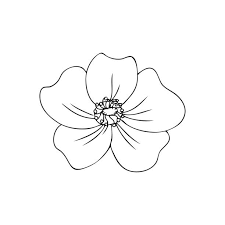 Fleur Églantine